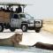Gondwana Etosha Safari Lodge