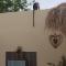 Mandinka Lodge