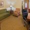 Country Inn & Suites by Radisson, DFW Airport South, TX