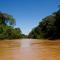 Amazon Planet