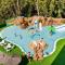 Apartaments Els Llorers