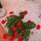 Mosoly Apartman