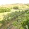 Quinta dAreda Wine&Pool Experience