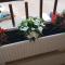 Apartman "Lara" Apartman "Lara"