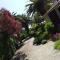 Le Palme