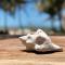 Vilancool Beach Resort - فيلانكولوس