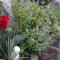 Forestview guesthouse and B&B