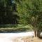 LE CHEMINARD photo 11