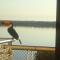 NorthBeach ::: Dpto. 7