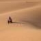 Maroc Sahara Luxury Camp & Tours - Foum Zguid