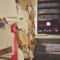 Andong Poong-gyung HOSTEL n LIBRARY - 安东市