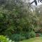 Windhaven Bed & Breakfast - Duntroon