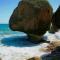 Palmeras Del Mar