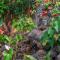 Nāpili Surf Beach Resort by Castle - Lahaina
