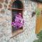 Country house Todor