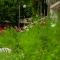 Racha guest house MERO