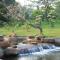 City Angkor Hotel