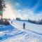 Villa Omena at MESSILA ski & camping
