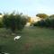 O Chalet