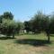 O Chalet