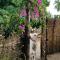 Centre Touristique et Culturel Casamance