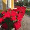 Enecopia Bed & Breakfast