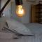 BASTIDE 9