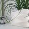 Apartment ALMA - to travel is to live
