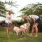Hillside Retreat – Africa Amini Life