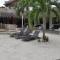 Little Mermaid Dive Resort - Malapascua