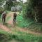 Hillside Retreat – Africa Amini Life