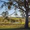 Foto: Marrowbone Vineyard Estate 14/24