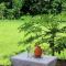 Nature Nest Home - Weligama