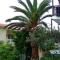 Pension Marina
