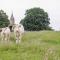 The Milking Barn - Yeovil