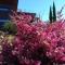 CAMPO DE SOBARBO - Guest House rural