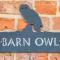 Barn Owl - Louth