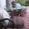 Forestview guesthouse and B&B
