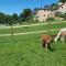 La Ferme des Andes - Gîte l'Atelier - Quins