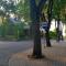 Stilingi apartamentai su virtuve Trakų miesto centre
