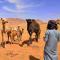 Foto: wadi rum stars tour with camping 1/26