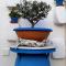 B&B Antiche Stelle Salento - 萨尔维
