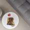 Strogili Hotel - Adults Only