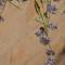 La Corticella Bed & Breakfast