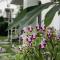 Hasayaki Homestay