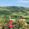 Large secluded villa, fabulous countryside views, beautiful Piedmonte landscape