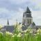 Logis Hotel La Croix Blanche Fontevraud - 丰特夫罗拉拜