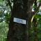 Hideaway Homestay