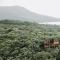 Cocohuts Hotel