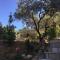 Le Clos en Provence photo 11